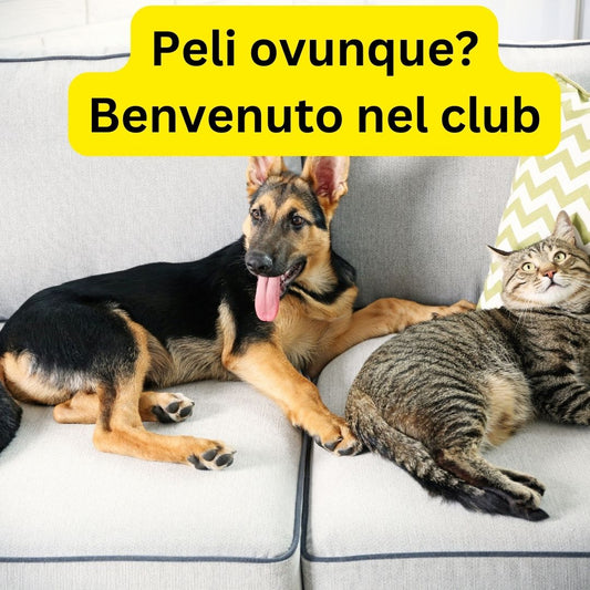 Peli ovunque? Ecco la guida che aspettavi!