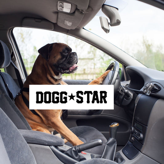Cani e viaggi in macchina. Come fare in poche semplice regole by Dogg Star