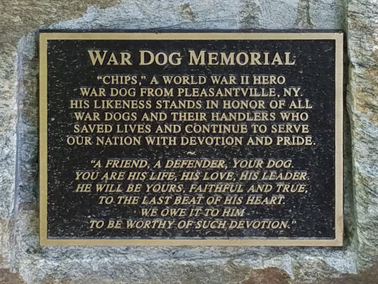 Cani negli scenari di guerra. Storie americane: Chips, il miglior cane da guerra mai esistito.
