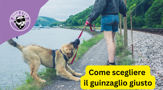 Come scegliere il guinzaglio giusto.