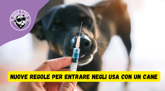 Nuove regole per viaggiare con un cane negli Stati Uniti