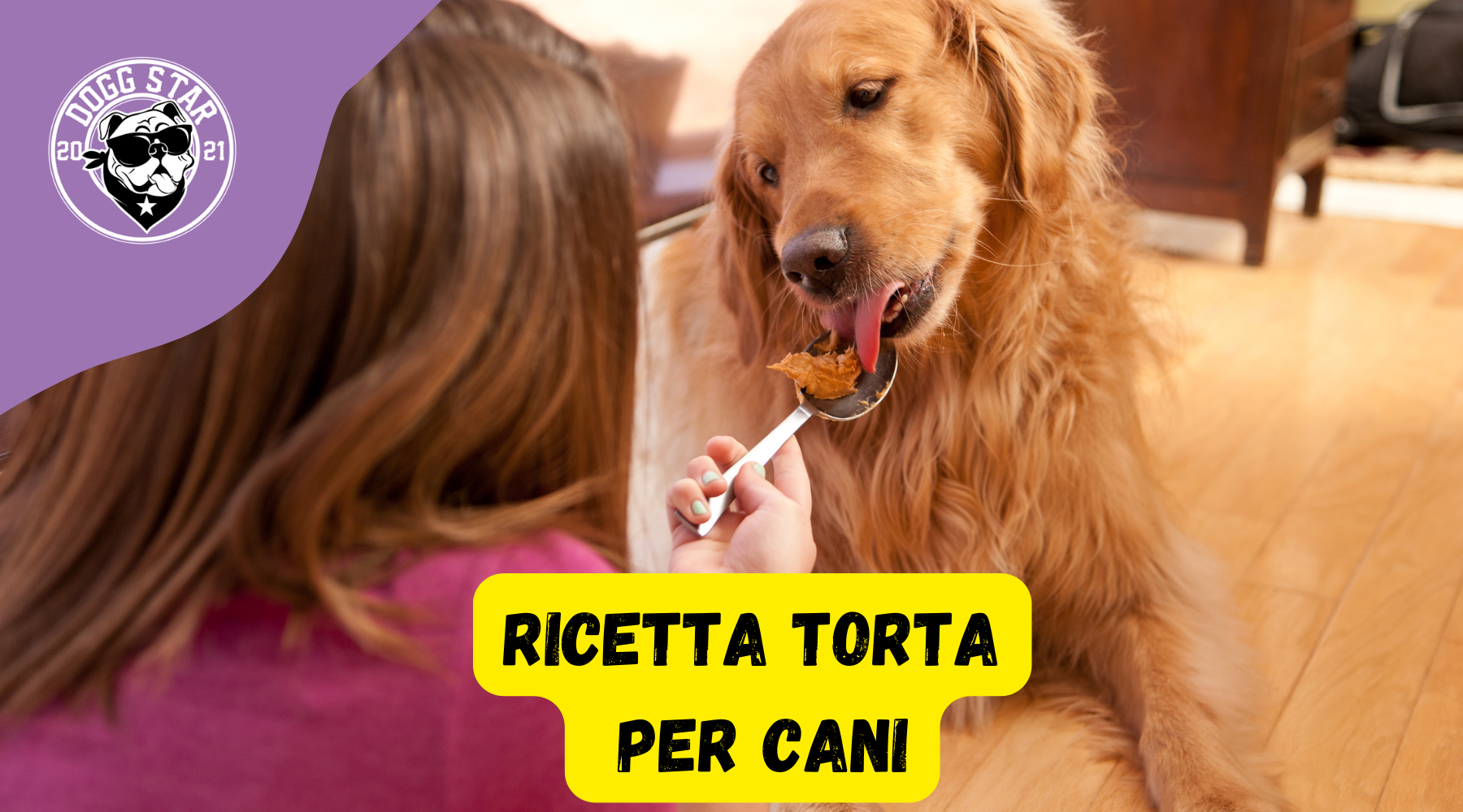 Torta per cani fatta in casa ricetta - Food Gustoso