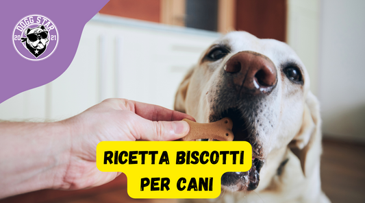 Torta Per Cani Carne e Ricotta, ricetta casalinga facile e veloce
