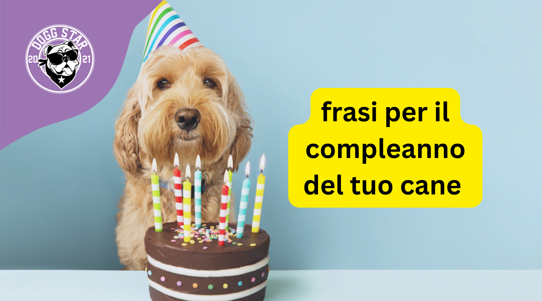 20 Frasi Speciali per Festeggiare il Compleanno del Tuo Fedele Amico a  Quattro Zampe – Dogg Star