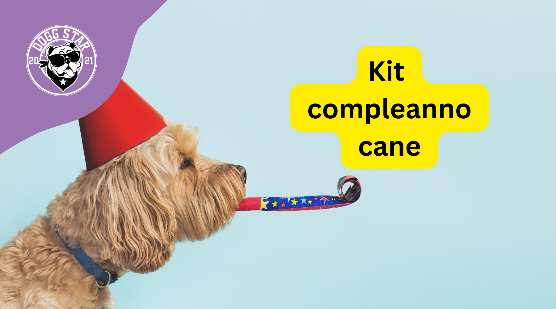 Kit di compleanno per cani - Le Birthday Kit