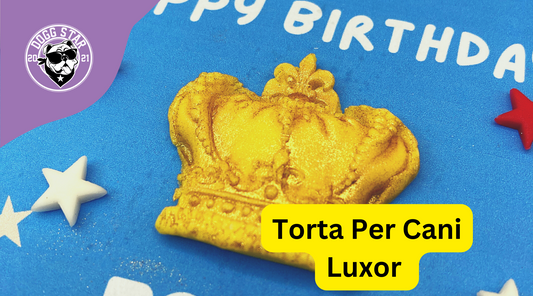 Luxor, la nuova torta per cani faraonica di Dogg Star