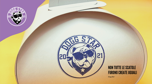 Eleganza e Gusto Ineguagliabile: Le Scatole delle Torte per Cani Dogg Star