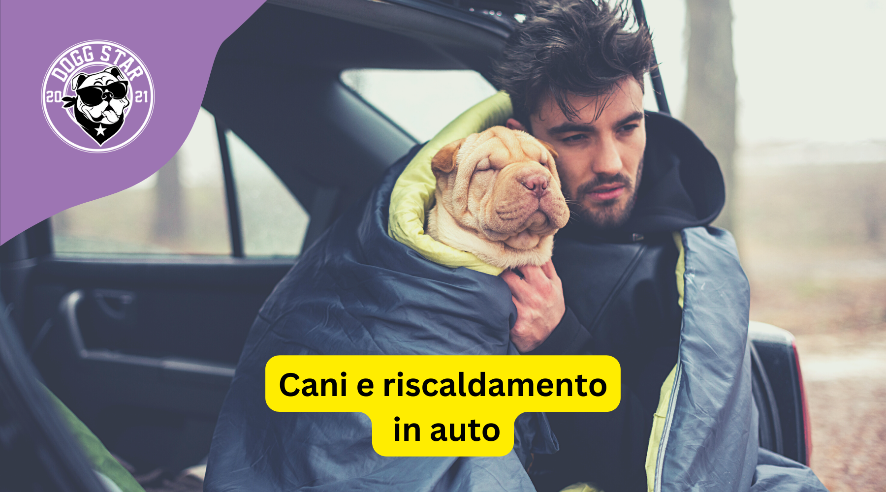 Trasporto Cani In Auto: Consigli Pratici E Obblighi Di Legge