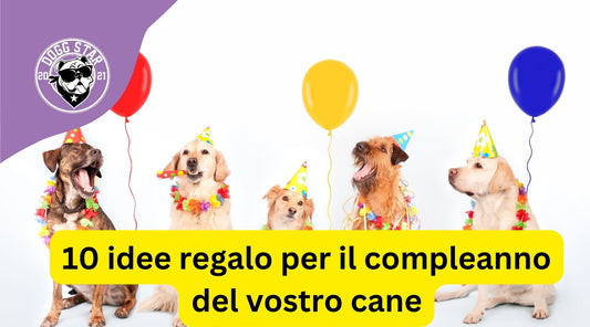 10 idee regalo per il compleanno del tuo cane.