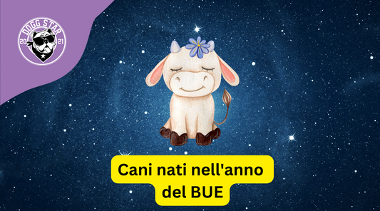 Cani e Astrologia Cinese: i nati sotto il segno del Bue (2009, 2021)