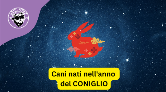 Cani e Astrologia Cinese: i nati sotto il segno del Coniglio (2011, 2023)