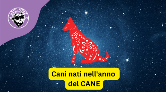 Cani e Astrologia Cinese: i nati sotto il segno del Cane (2006, 2018)