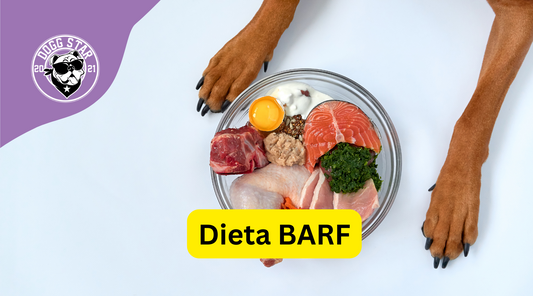 Dieta BARF 2023. Cos'è e come funziona.