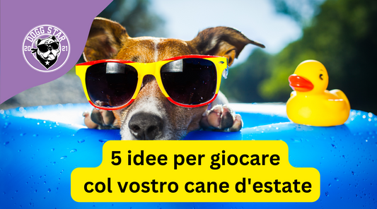 5 Idee Per Far Divertire il Tuo Cane Nei Giorni Caldi dell'Anno!