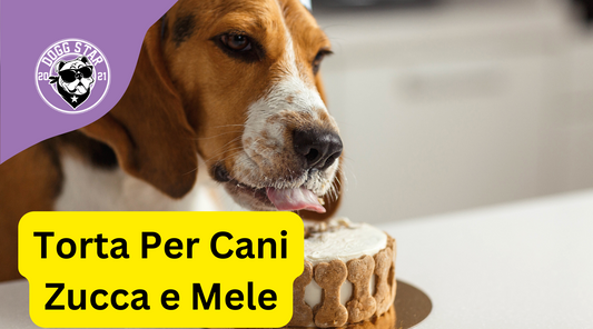 Torta Per Cani alle mele e zucca senza zuccheri aggiunti.Torta per cani ricetta veloce Dogg Star