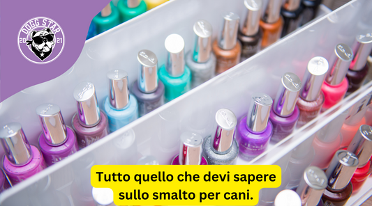 Smalto per Cani: Una Moda Dannosa o una Simpatica Nota di Colore?