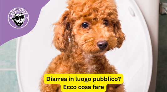Affrontare la Diarrea del Tuo Cane in Luogo Pubblico: Consigli e Soluzioni Pratiche