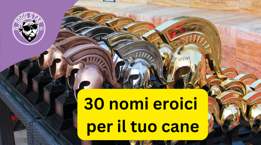 Eroi Canini: 30 Nomi Maschili Ispirati alla Mitologia e alla Storia classica greco-romana