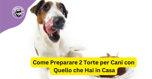 Torta per cani