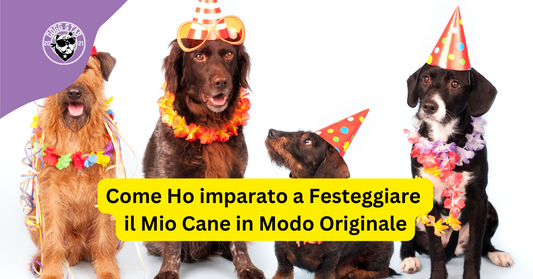 Come Ho imparato a Festeggiare il Mio Cane in Modo Originale