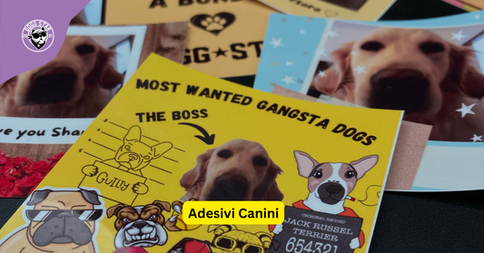 Adesivi Canini Dogg Star: Un Omaggio al Tuo Fedele Amico a Quattro Zampe