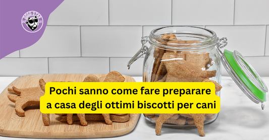 Pochi sanno come fare preparare a casa degli ottimi biscotti per cani. Ecco una ricetta speciale (tempo di preparazione 3 minuti)