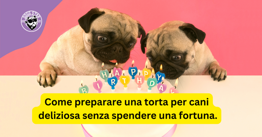 Come preparare una torta per cani deliziosa senza spendere una fortuna.