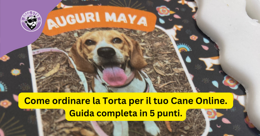 Come ordinare la Torta per il tuo Cane Online. Guida completa in 5 punti.