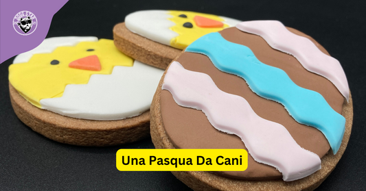 Dogg Star: Una Pasqua Golosa per il tuo Amico a Quattro Zampe!