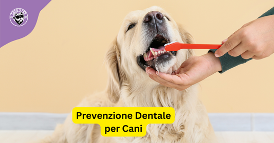 Un Sorriso Sano e Felice: La Cura Dentale per Cani