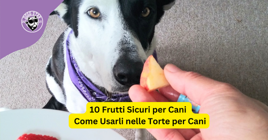 10 Frutti Sicuri per Cani e Come Usarli nelle Torte per Cani
