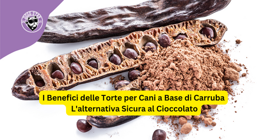 I Benefici delle Torte per Cani a Base di Carruba: L'alternativa Sicura al Cioccolato