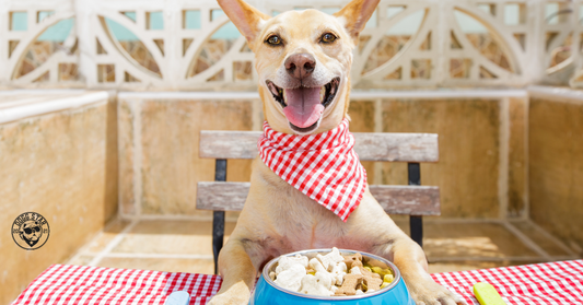 Scopri il Cibo Gourmet per Cani: 4 Idee Deliziose per Viziare il Tuo Amico a Quattro Zampe