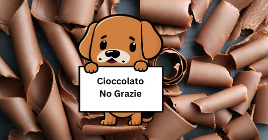 Perché il Cioccolato non Può Essere Usato nelle Torte per Cani: La Salute dei Nostri Amici a Quattro Zampe al Primo Posto