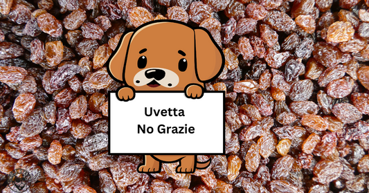 Perché l'Uva e l'Uvetta non Possono Essere Usate nelle Torte per Cani: Proteggi la Salute del Tuo Amico a Quattro Zampe
