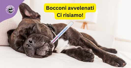 Bocconi avvelenati: ci risiamo!