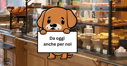 La dolce rivoluzione: Pasticceria per animali domestici.
