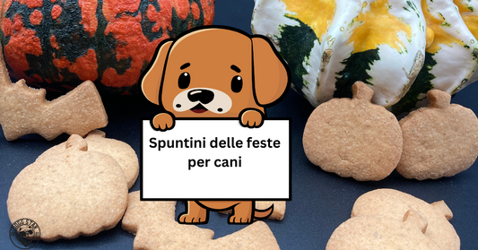 Spuntini festivi per cani: Come rendere speciali le occasioni del tuo amico a quattro zampe