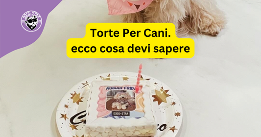 Torte per cani: perché sono il regalo perfetto per il tuo amico a quattro zampe