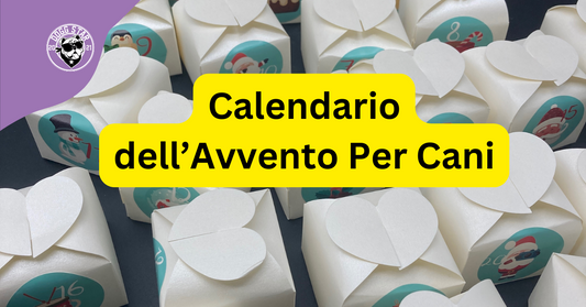 Il Calendario dell'Avvento Dogg Star: Un'esperienza di Natale per il tuo Amico a Quattro Zampe