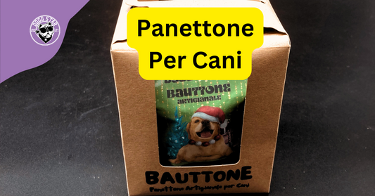 Bauttone: Il Panettone Tradizionale per Cani, Perfetto per le Feste