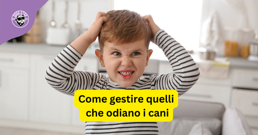 Come gestire quelli che ce l'hanno su con i cani.