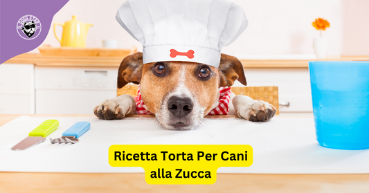Ricetta Torta di Compleanno Per Cani Alla Zucca