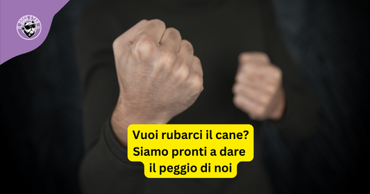Furti di cani, un nuovo trend criminale.