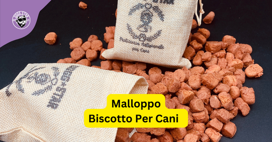 Malloppo, il biscotto per cani prezioso.