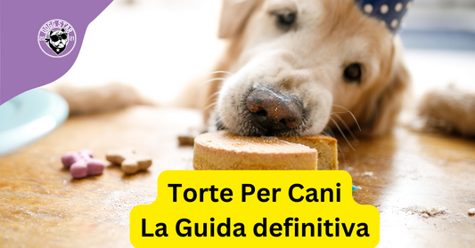 Torta per Cani: La Guida Definitiva per una Torta Perfetta