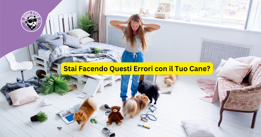 Stai Facendo Questi Errori con il Tuo Cane?