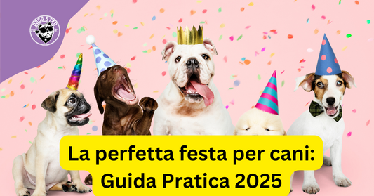 La perfetta festa per cani: Guida Pratica 2025.