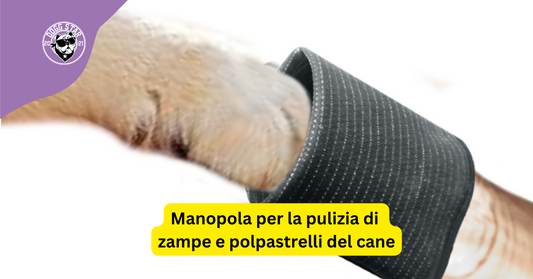 Manopola con argento ionico per la pulizia di zampe e polpastrelli del cane.