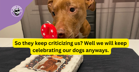 So they keep criticizing us? Well we will keep celebrating our dogs anyways.